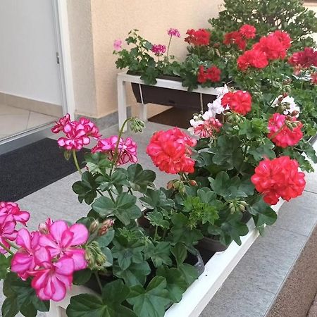 Apartment Marelja - Private Parking And Balcony Zadar Luaran gambar