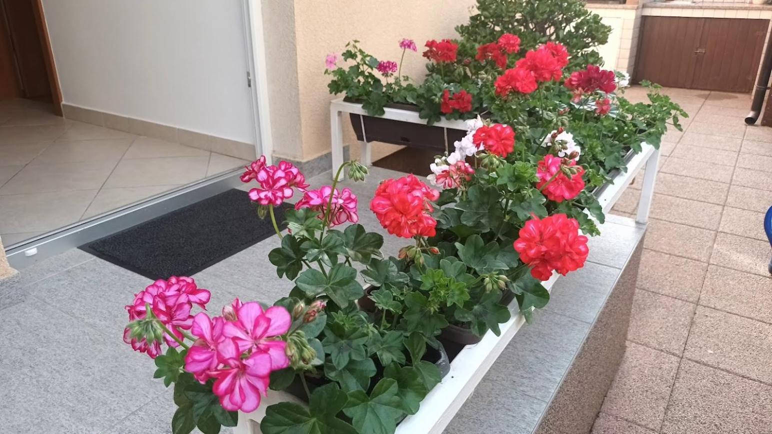 Apartment Marelja - Private Parking And Balcony Zadar Luaran gambar